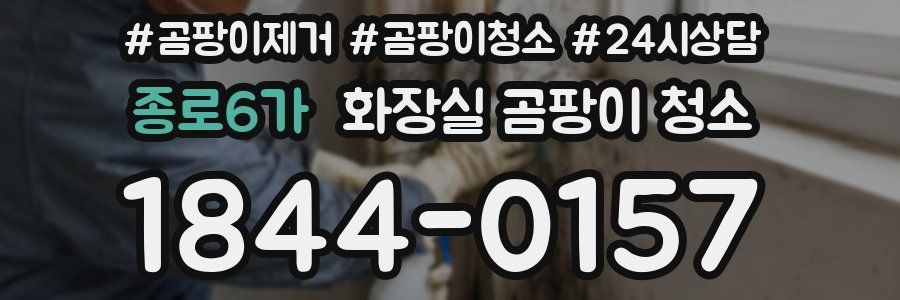 종로6가 화장실 곰팡이 청소