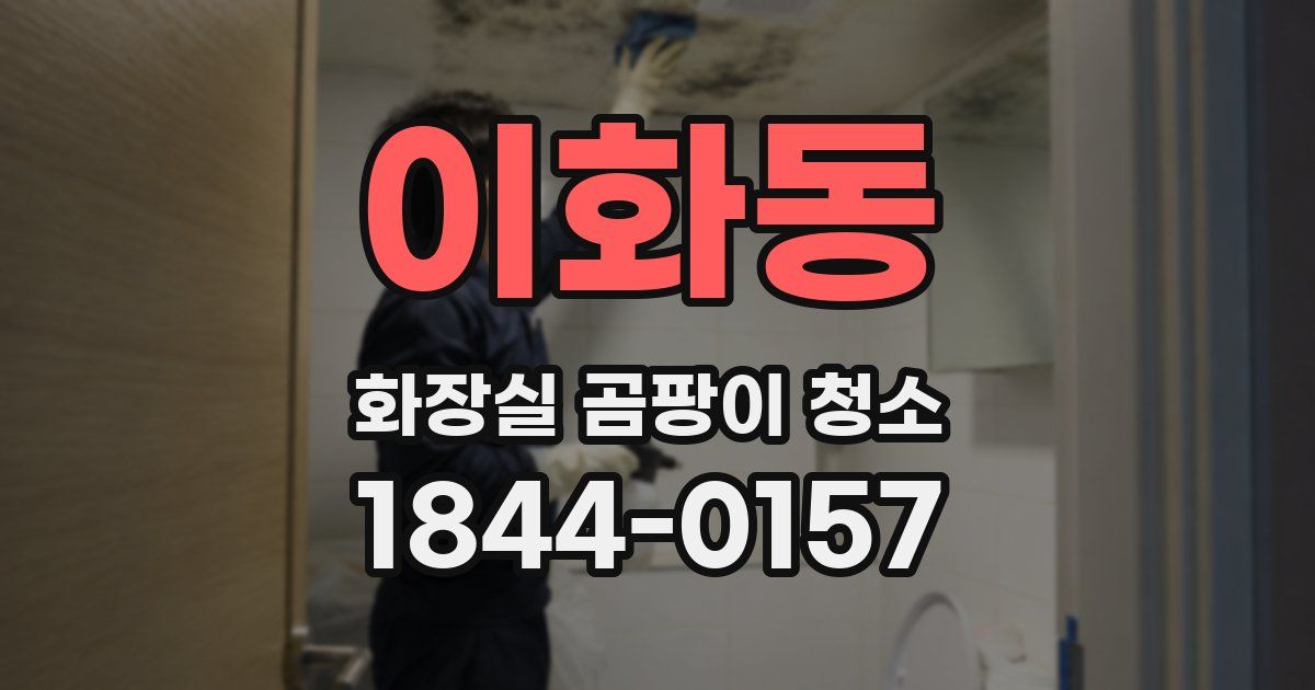 이화동 화장실 곰팡이 청소