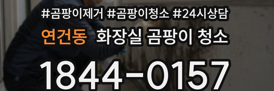 연건동 화장실 곰팡이 청소