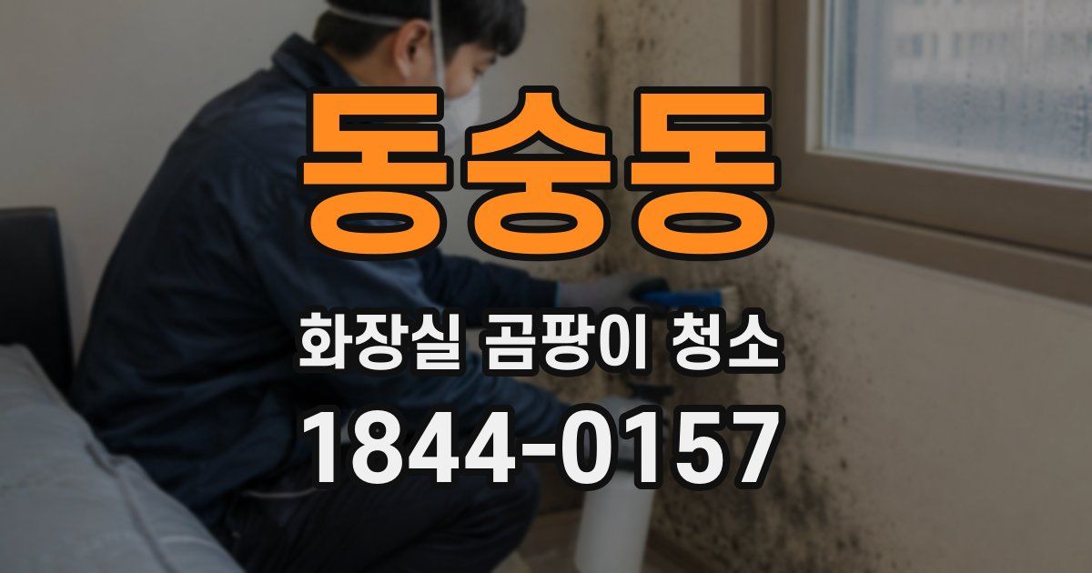 동숭동 화장실 곰팡이 청소