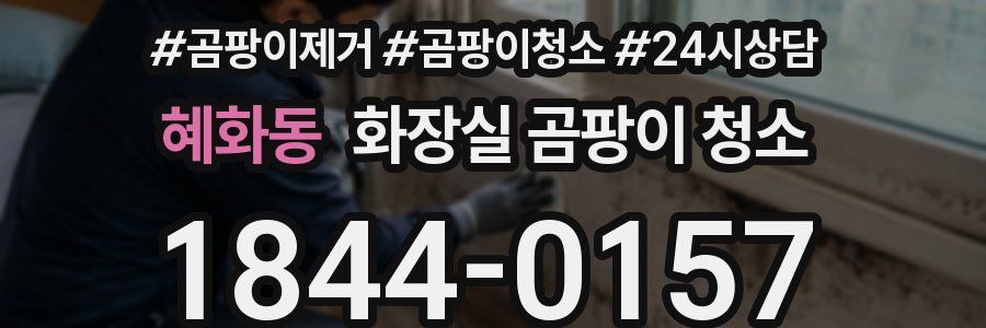 혜화동 화장실 곰팡이 청소