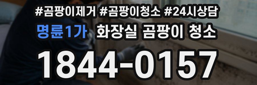 명륜1가 화장실 곰팡이 청소