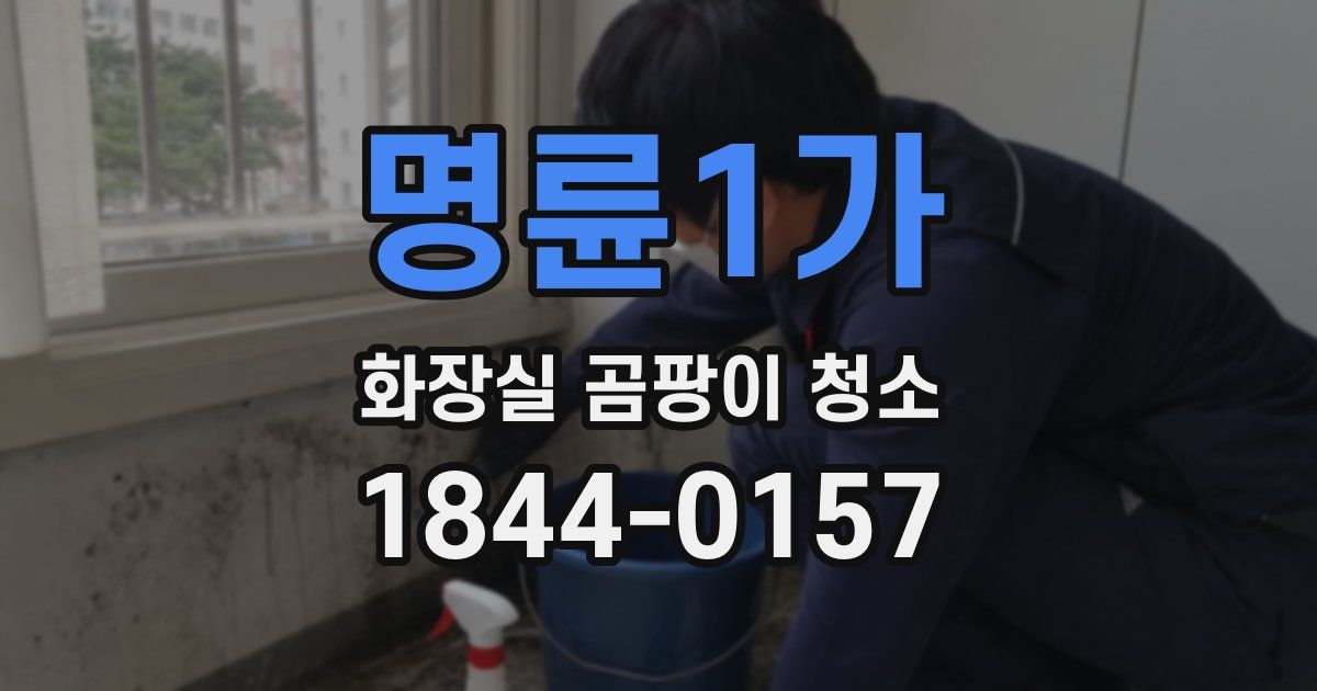 명륜1가 화장실 곰팡이 청소