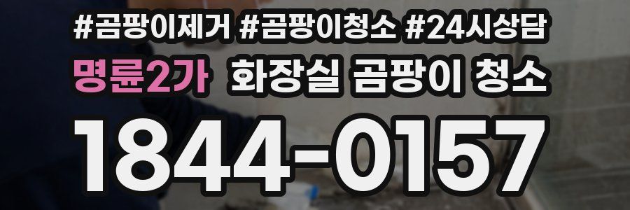 명륜2가 화장실 곰팡이 청소