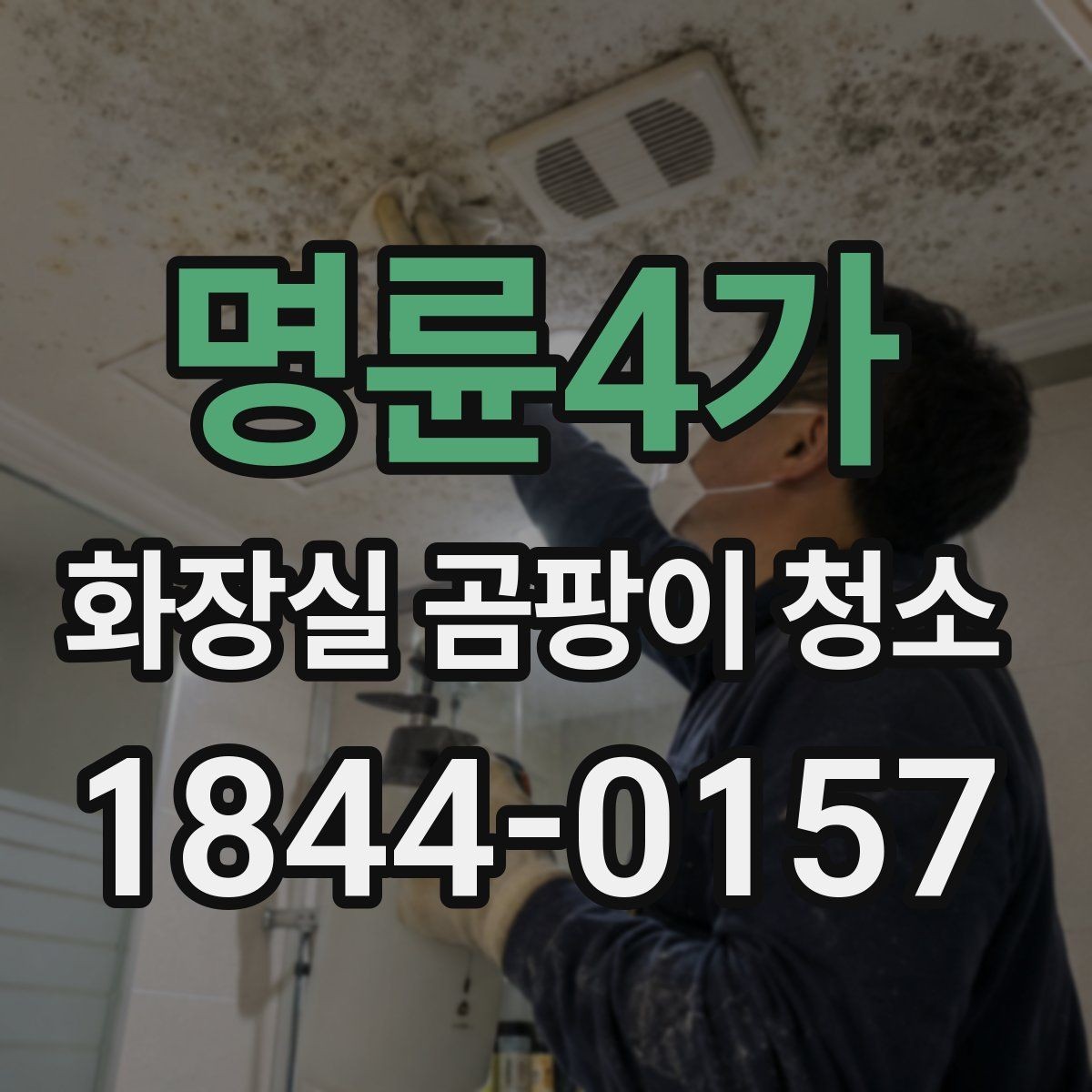 명륜4가 화장실 곰팡이 청소 벽면과 바닥을 따로 접근하는 이유