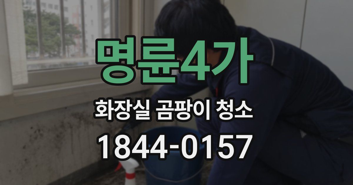 명륜4가 화장실 곰팡이 청소