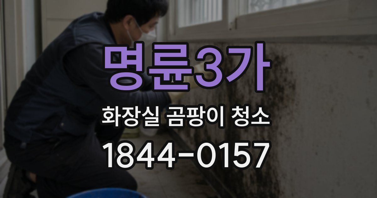 명륜3가 화장실 곰팡이 청소