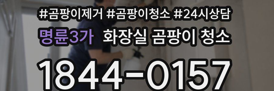 명륜3가 화장실 곰팡이 청소