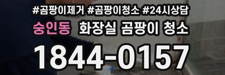 숭인동 화장실 곰팡이 청소