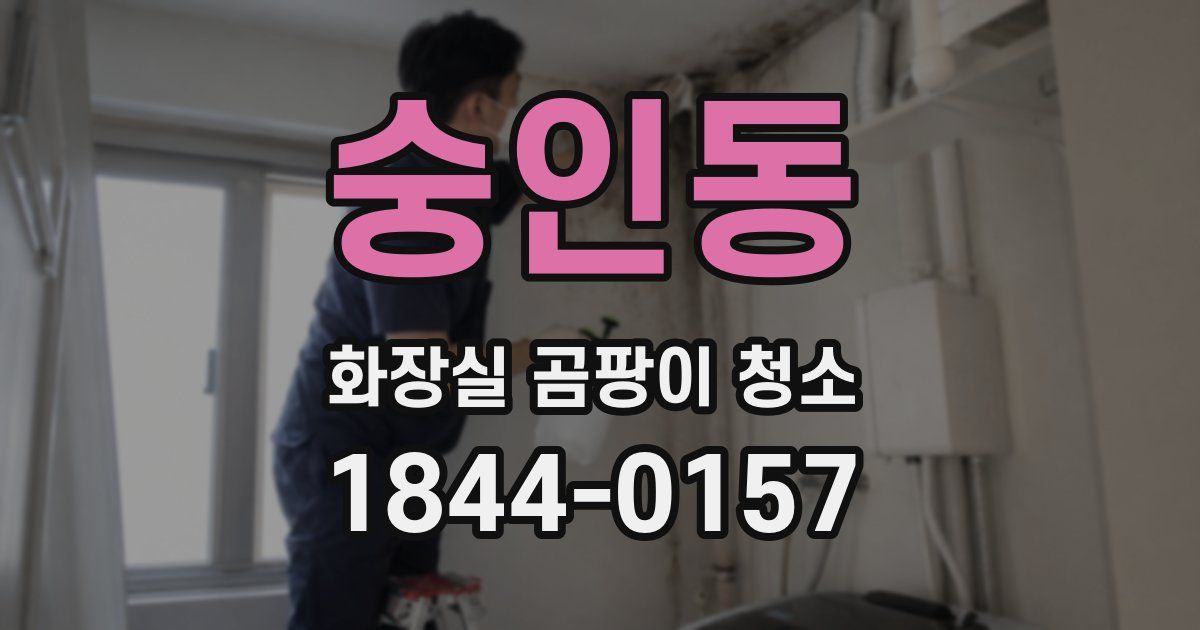 숭인동 화장실 곰팡이 청소