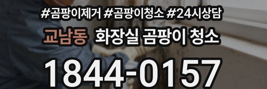 교남동 화장실 곰팡이 청소