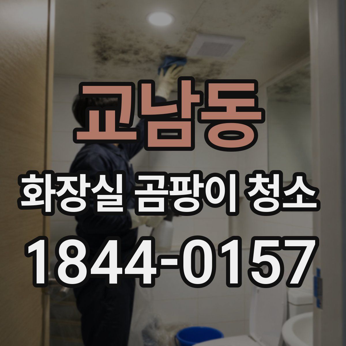 교남동 화장실 곰팡이 청소