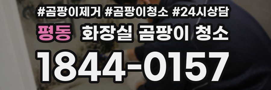 평동 화장실 곰팡이 청소