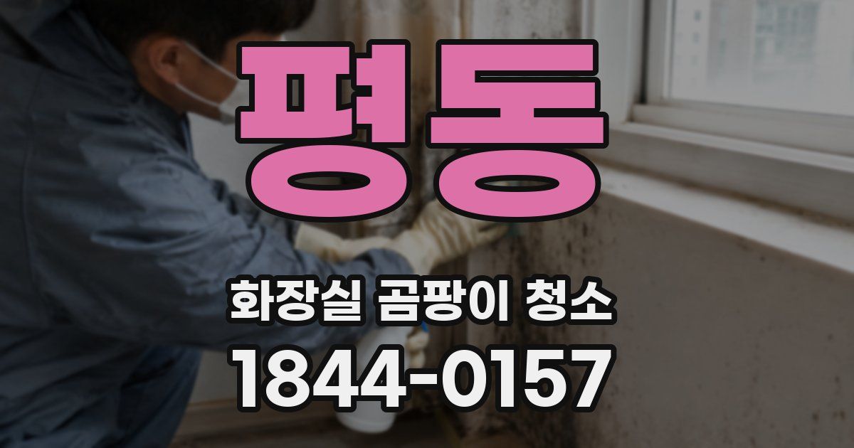 평동 화장실 곰팡이 청소