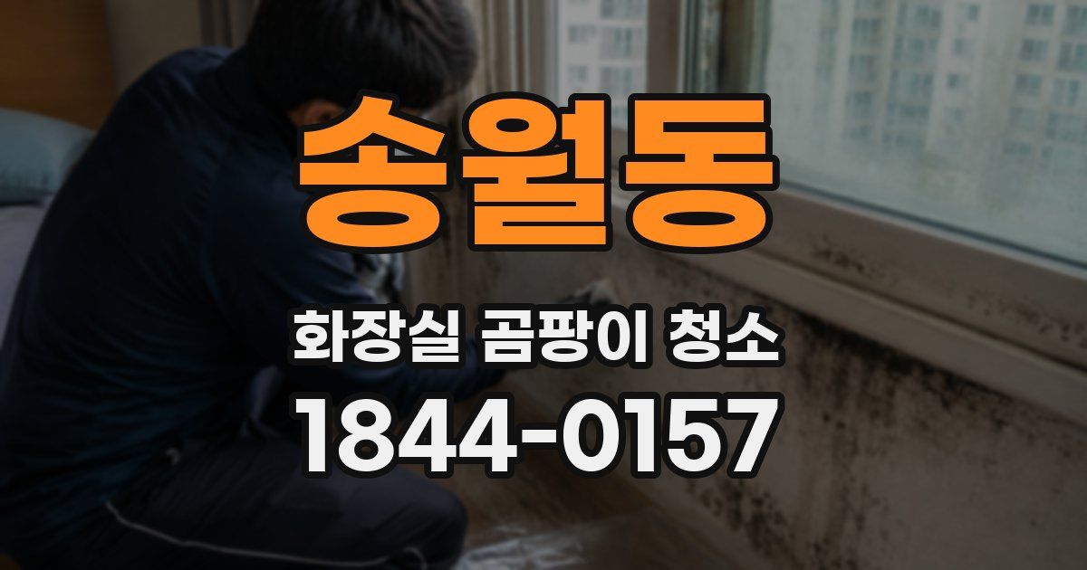 송월동 화장실 곰팡이 청소