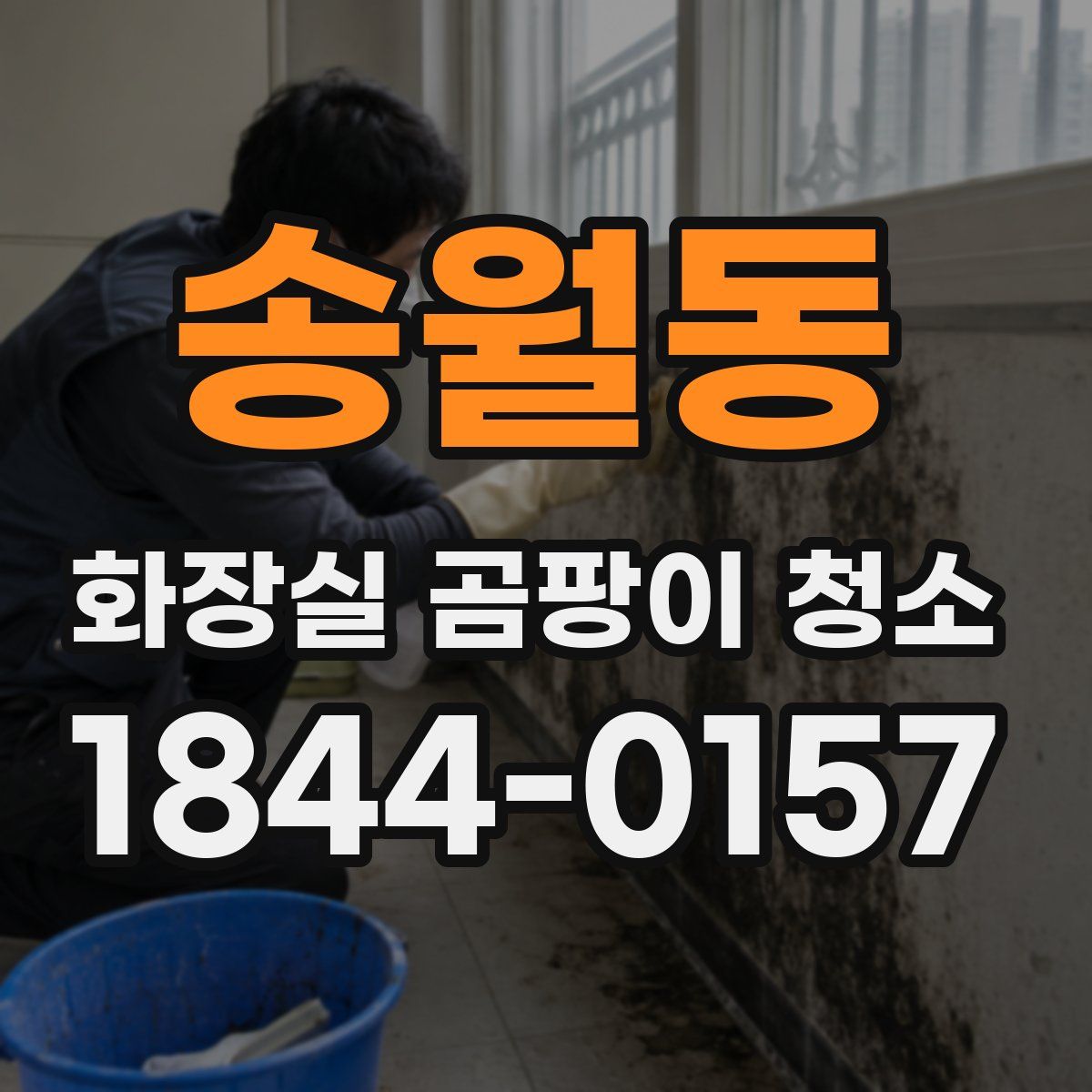 송월동 화장실 곰팡이 청소