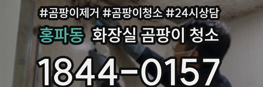 홍파동 화장실 곰팡이 청소