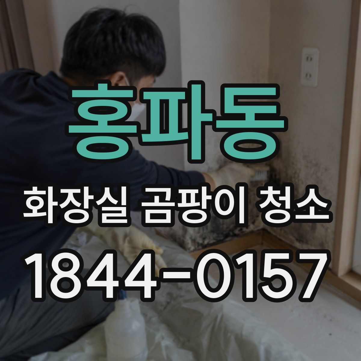 홍파동 화장실 곰팡이 청소