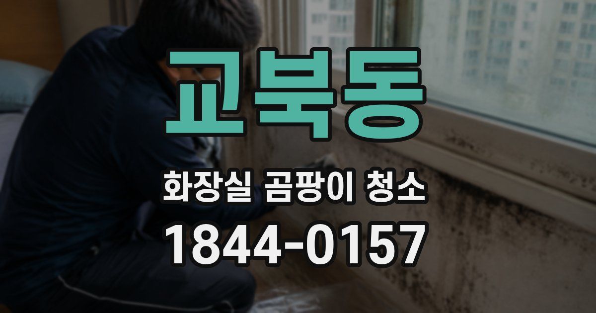 교북동 화장실 곰팡이 청소