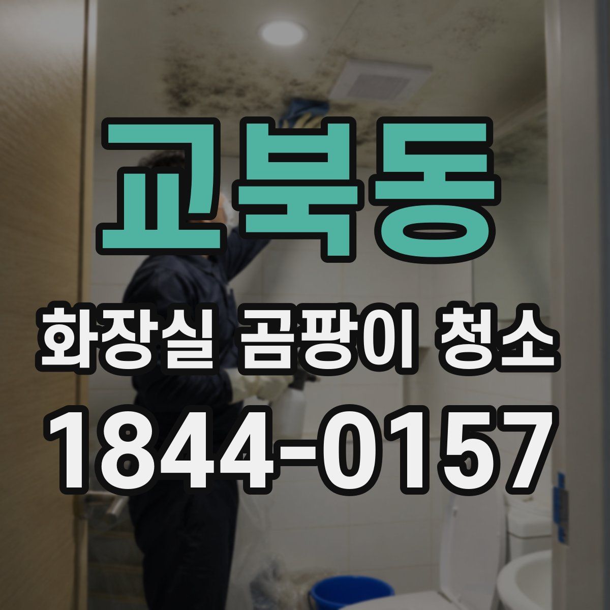 교북동 화장실 곰팡이 청소