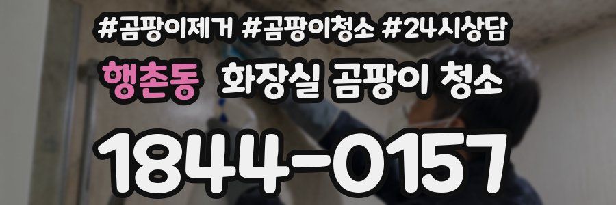 행촌동 화장실 곰팡이 청소