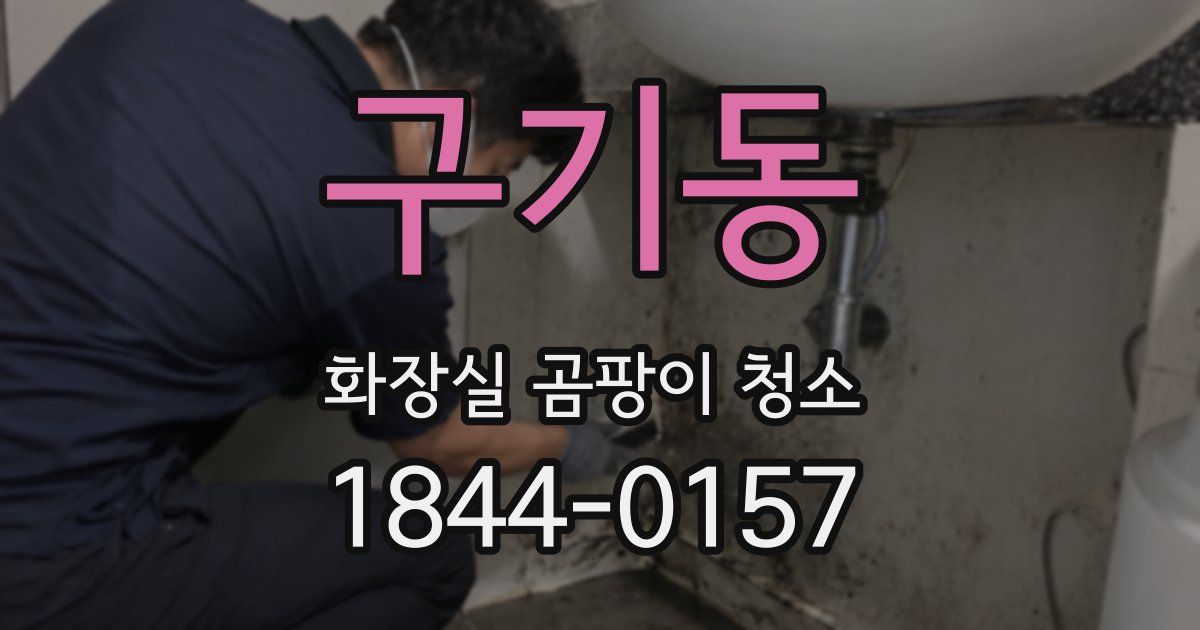 구기동 화장실 곰팡이 청소