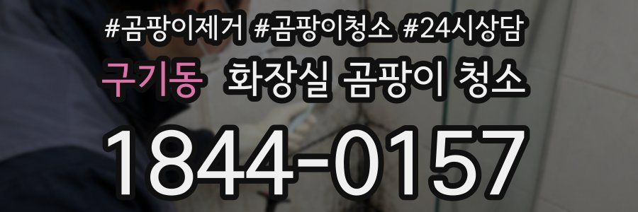 구기동 화장실 곰팡이 청소