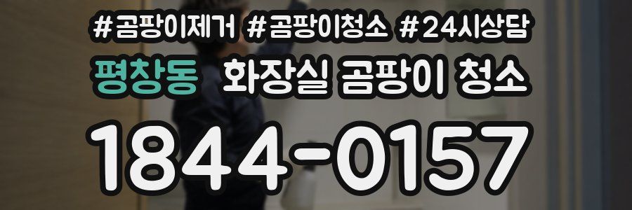 평창동 화장실 곰팡이 청소