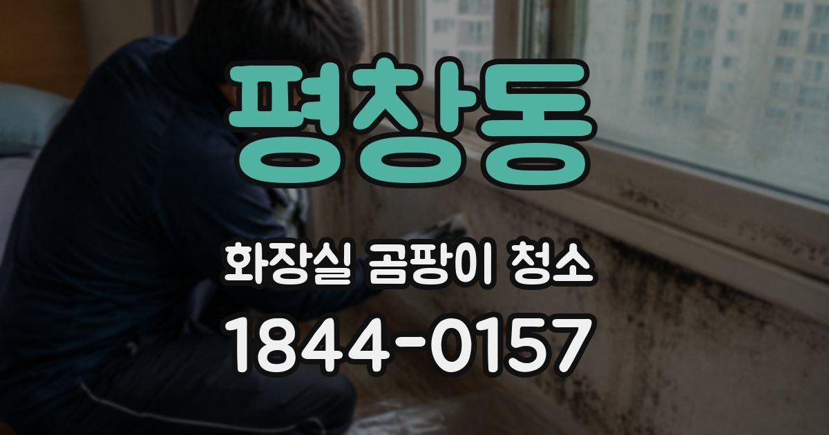 평창동 화장실 곰팡이 청소