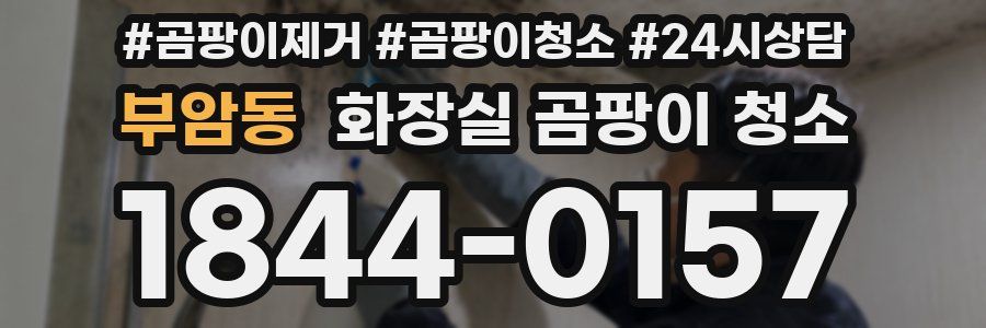 부암동 화장실 곰팡이 청소