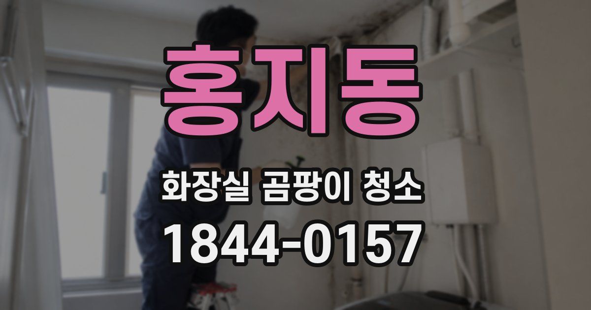 홍지동 화장실 곰팡이 청소