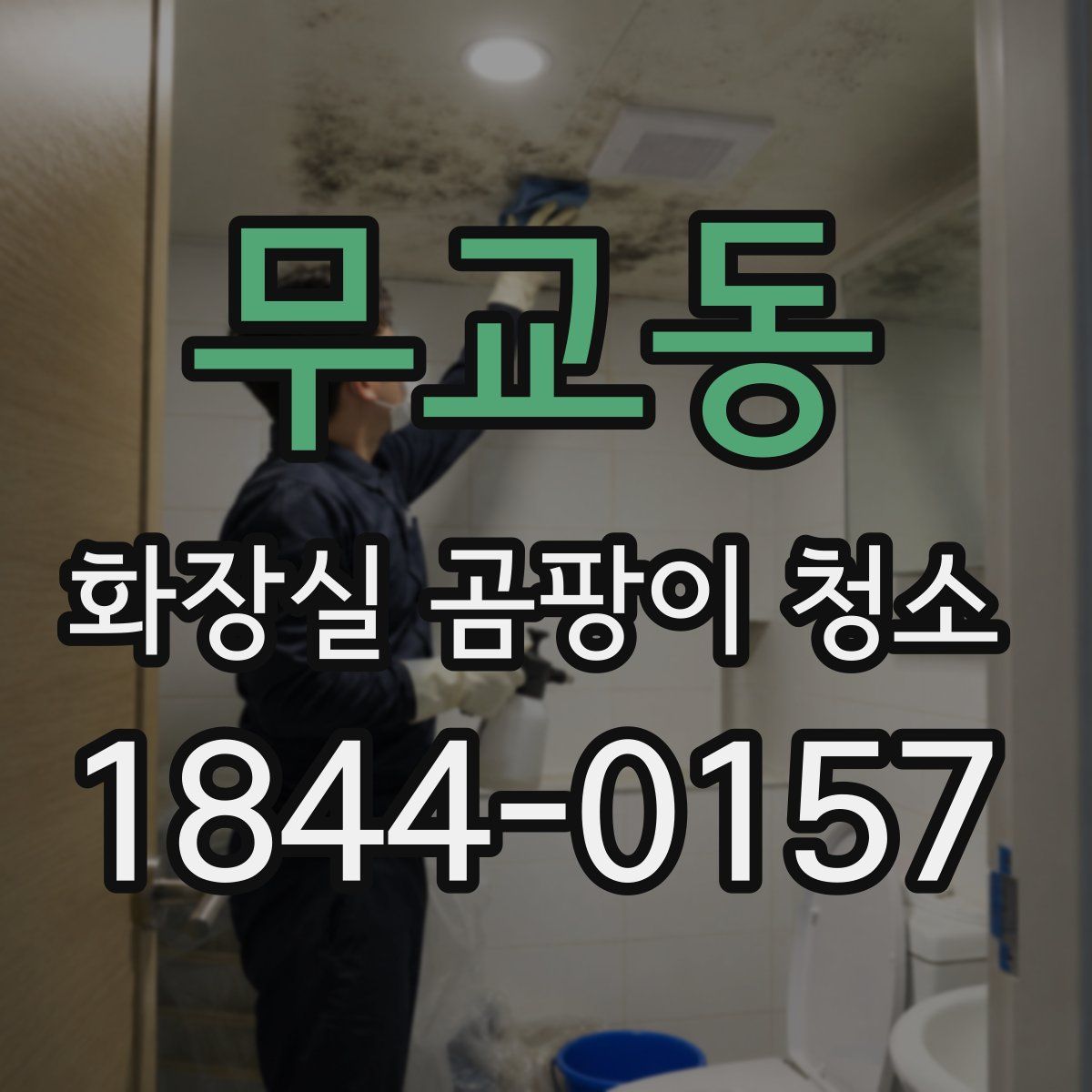 무교동 화장실 곰팡이 청소
