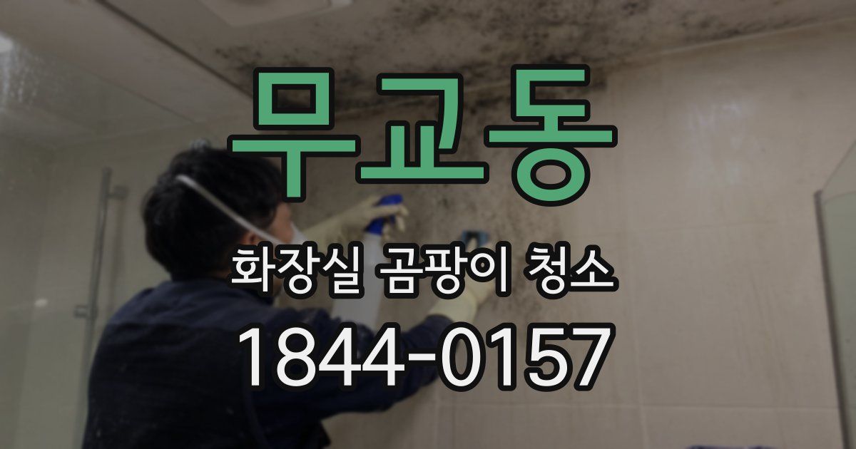 무교동 화장실 곰팡이 청소