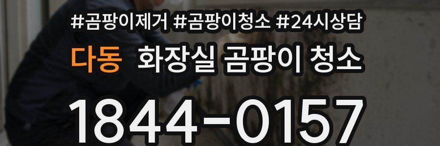 다동 화장실 곰팡이 청소