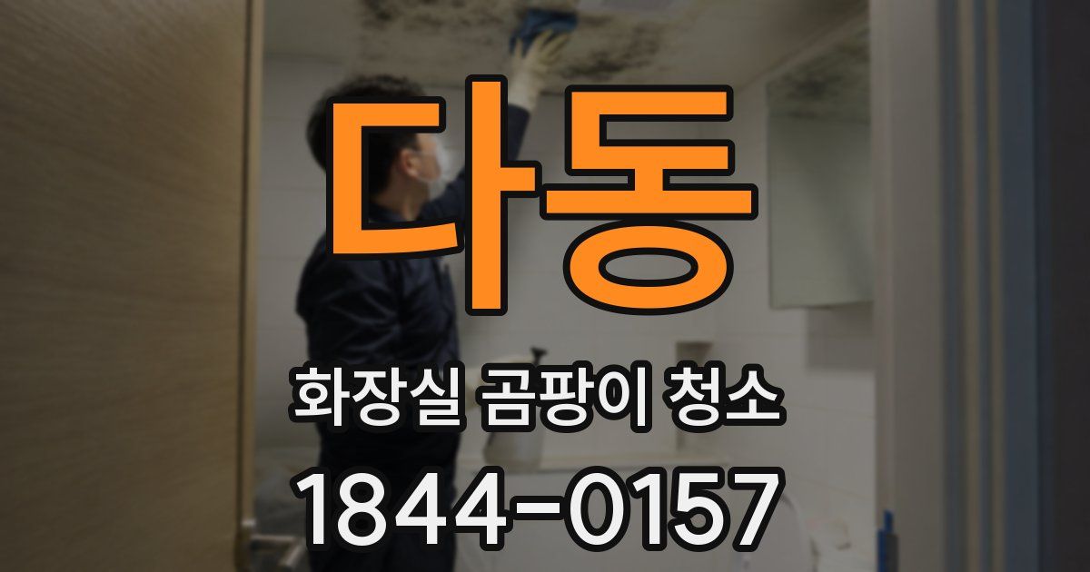 다동 화장실 곰팡이 청소