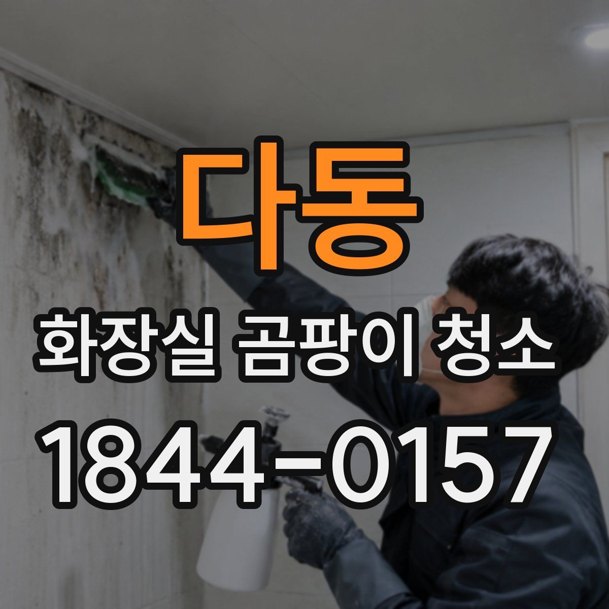 다동 화장실 곰팡이 청소