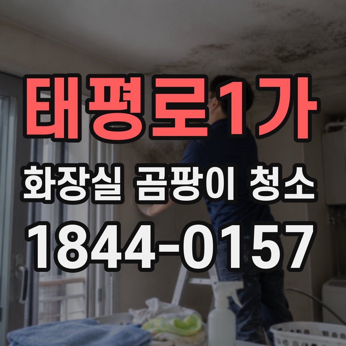 태평로1가 화장실 곰팡이 청소