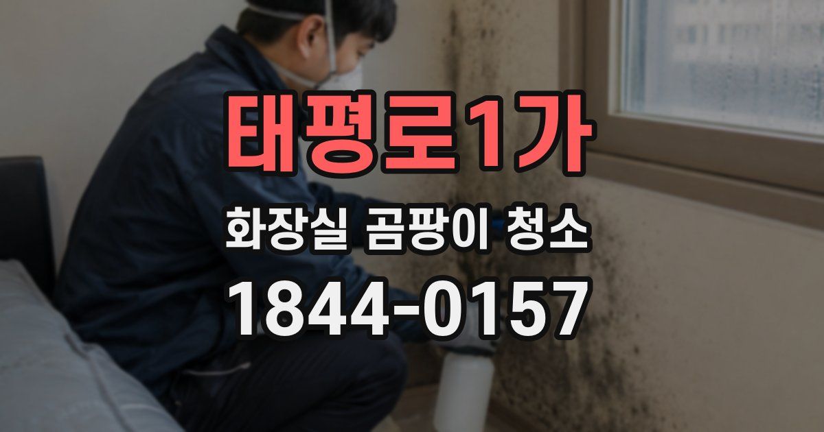 태평로1가 화장실 곰팡이 청소