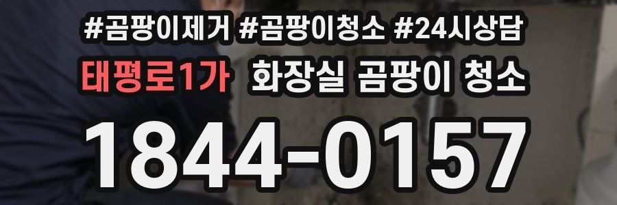 태평로1가 화장실 곰팡이 청소