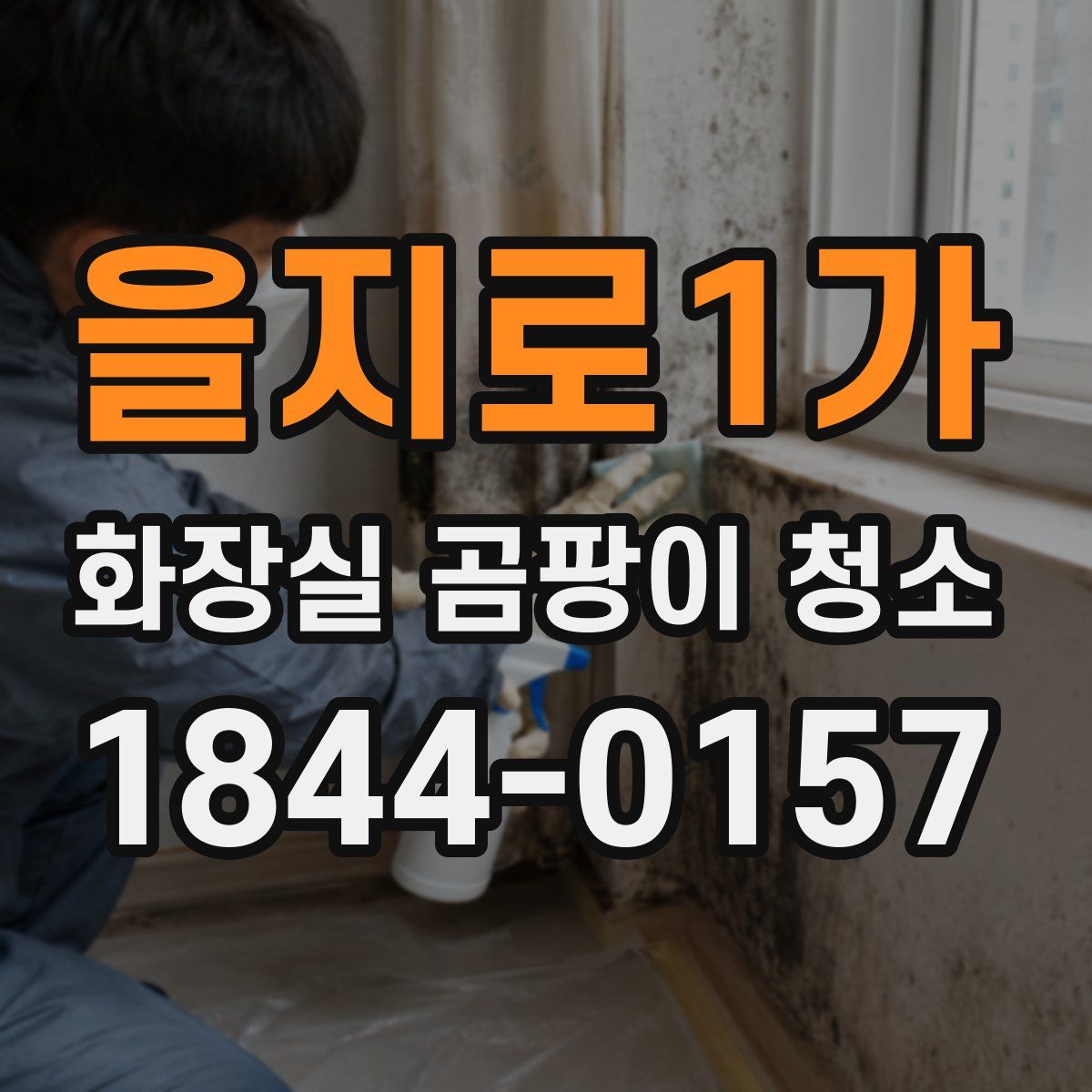 을지로1가 화장실 곰팡이 청소