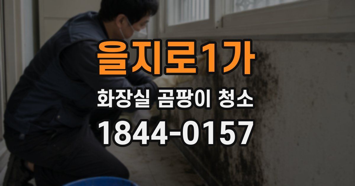 을지로1가 화장실 곰팡이 청소