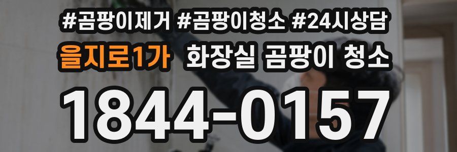 을지로1가 화장실 곰팡이 청소