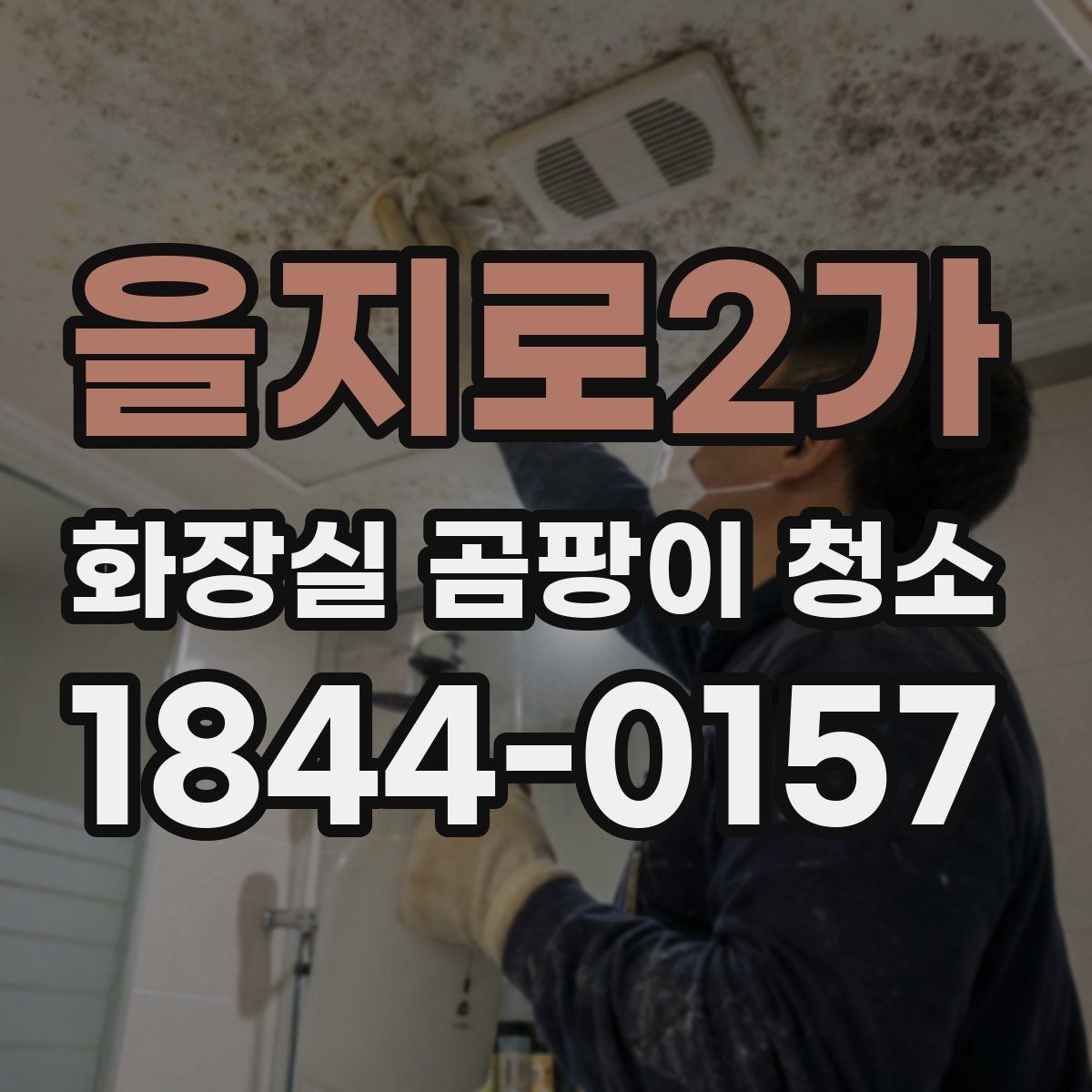 을지로2가 화장실 곰팡이 청소 실리콘 틈새를 깔끔하게 보는 점검 순서