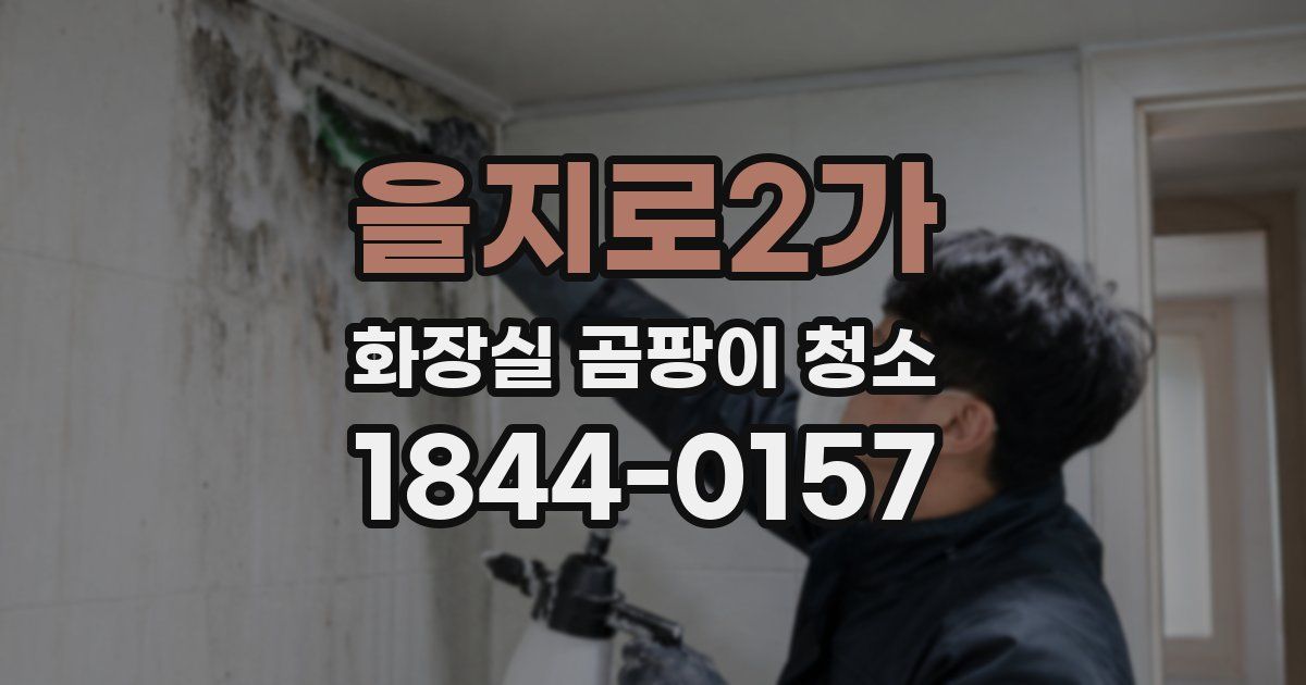 을지로2가 화장실 곰팡이 청소