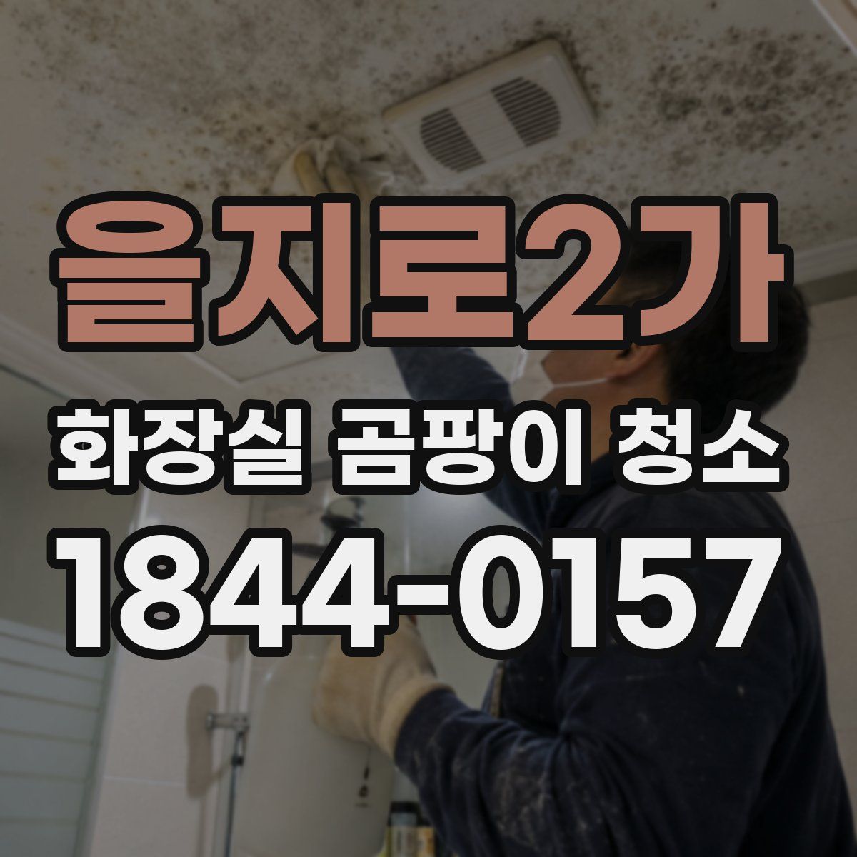 을지로2가 화장실 곰팡이 청소