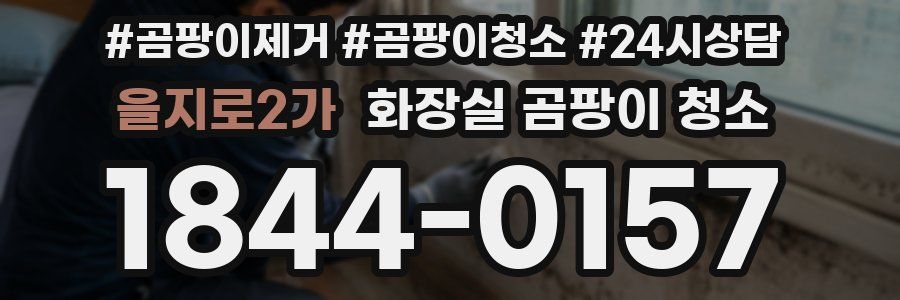 을지로2가 화장실 곰팡이 청소