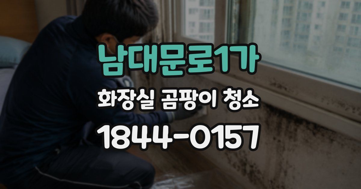 남대문로1가 화장실 곰팡이 청소