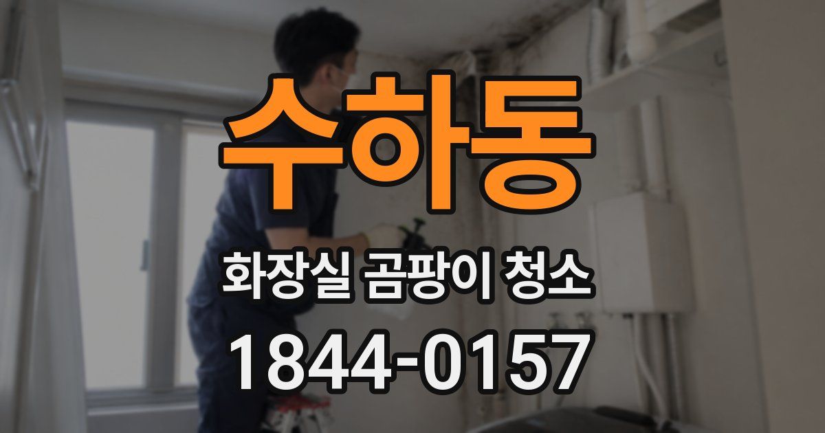 수하동 화장실 곰팡이 청소