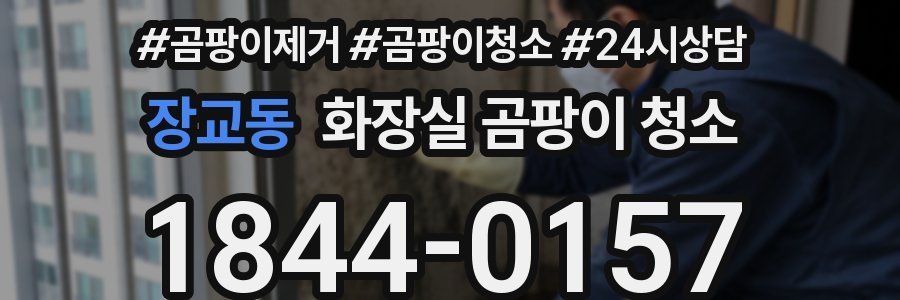 장교동 화장실 곰팡이 청소