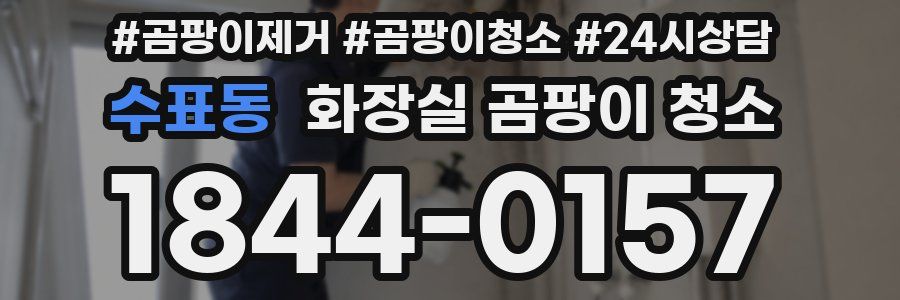 수표동 화장실 곰팡이 청소